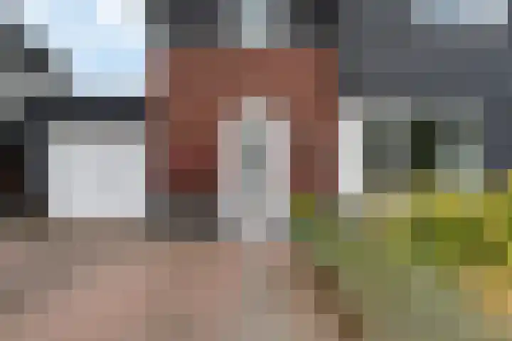Titelroas 42 a Boornbergum thumbnail 12