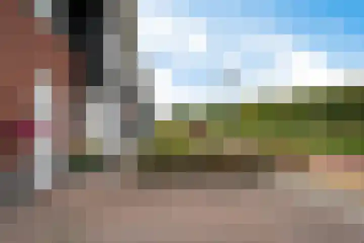 Titelroas 42 a Boornbergum thumbnail 13