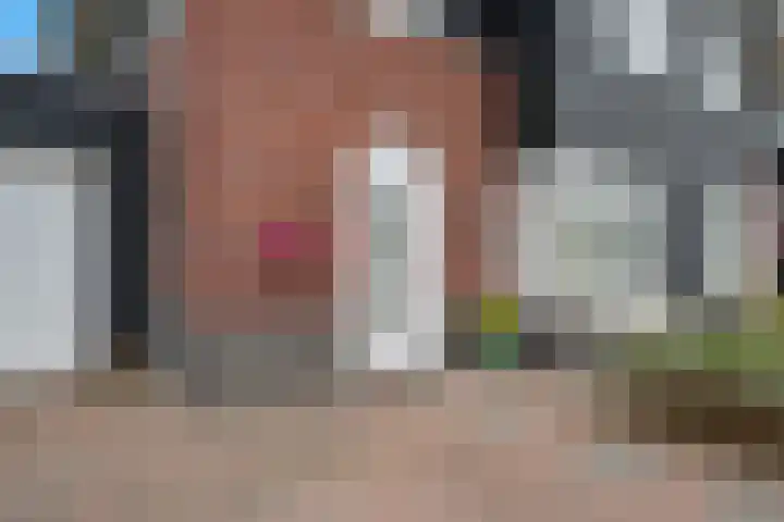 Titelroas 42 a Boornbergum thumbnail 14