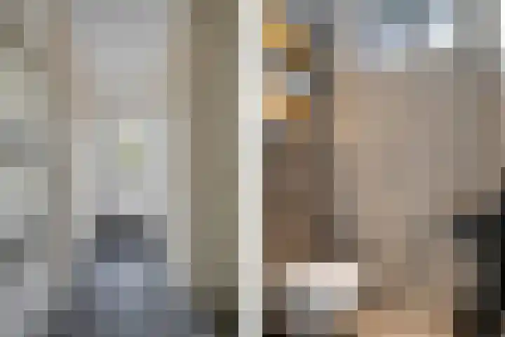 Titelroas 42 a Boornbergum thumbnail 15