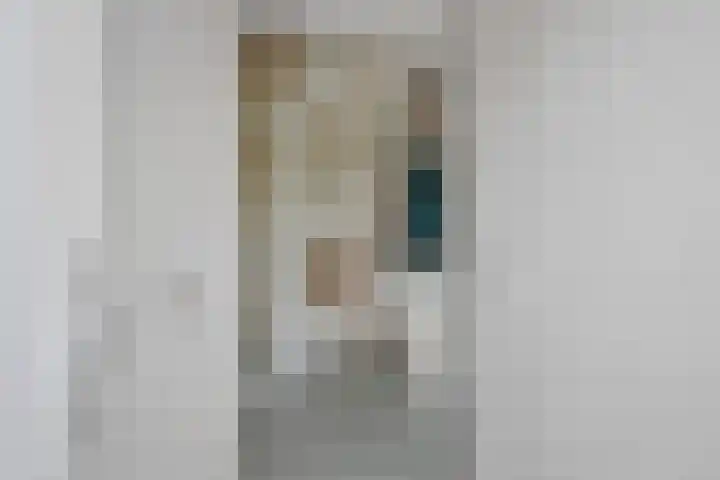 Titelroas 42 a Boornbergum thumbnail 16