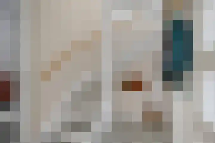 Titelroas 42 a Boornbergum thumbnail 17