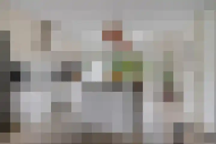 Titelroas 42 a Boornbergum thumbnail 18
