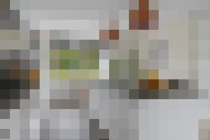 Titelroas 42 a Boornbergum thumbnail 19
