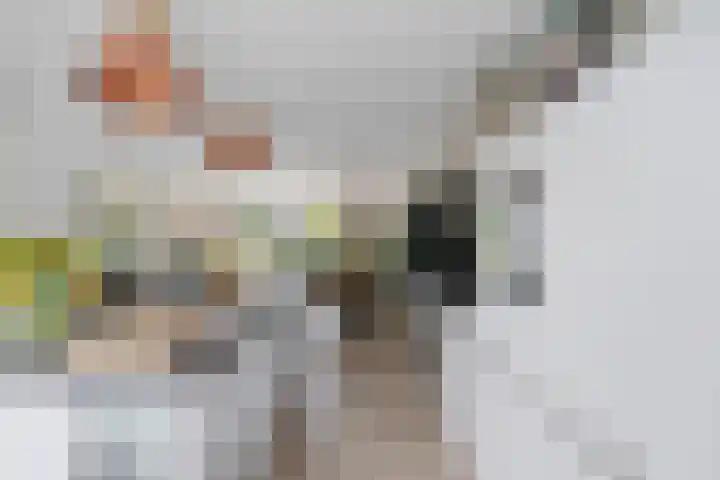 Titelroas 42 a Boornbergum thumbnail 21
