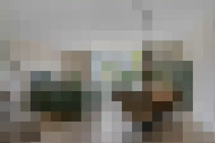 Titelroas 42 a Boornbergum thumbnail 22