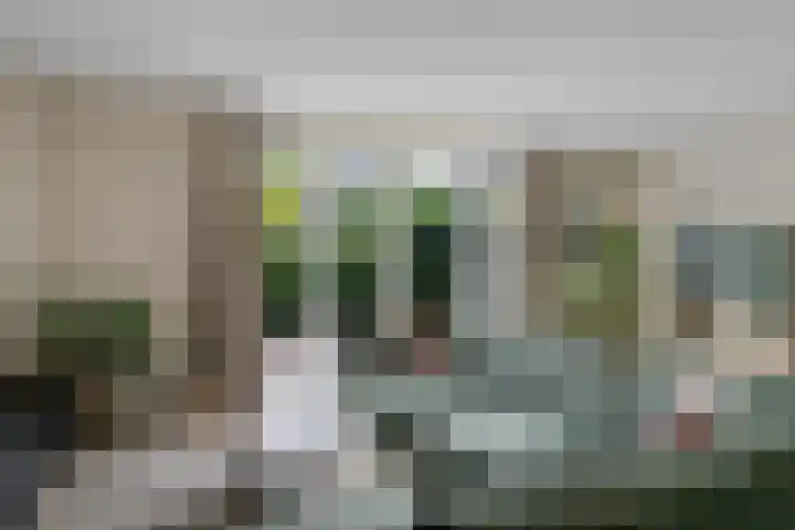 Titelroas 42 a Boornbergum thumbnail 23