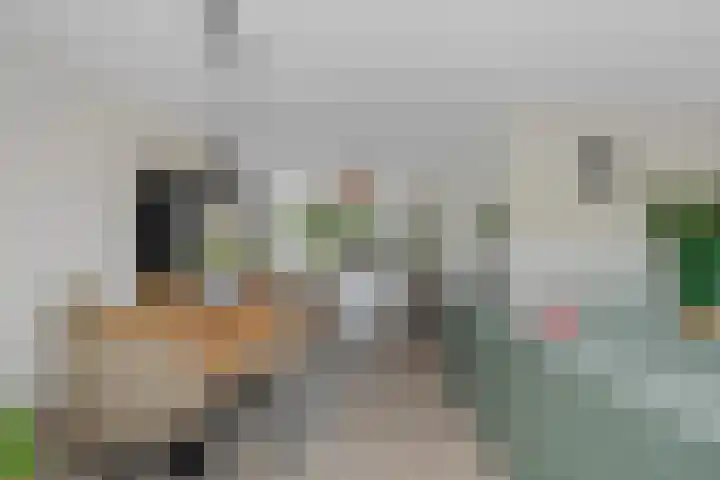 Titelroas 42 a Boornbergum thumbnail 24