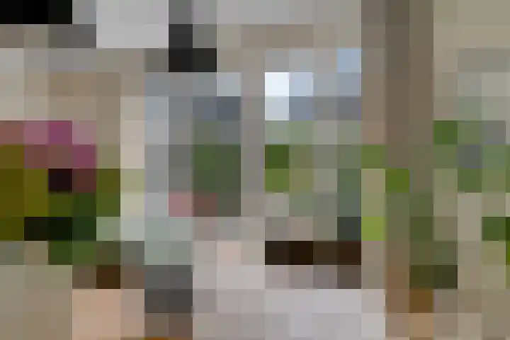 Titelroas 42 a Boornbergum thumbnail 26
