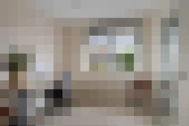 Titelroas 42 a Boornbergum thumbnail 28