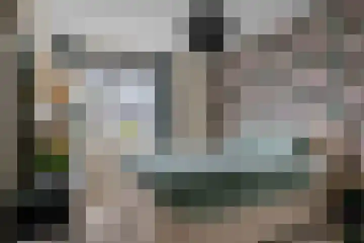 Titelroas 42 a Boornbergum thumbnail 29