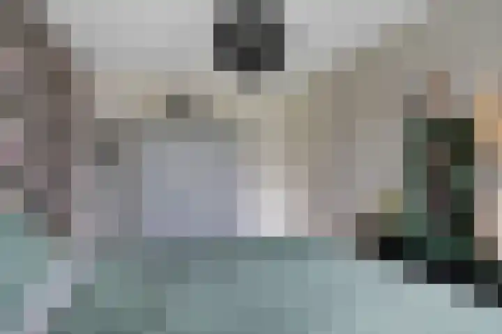 Titelroas 42 a Boornbergum thumbnail 30