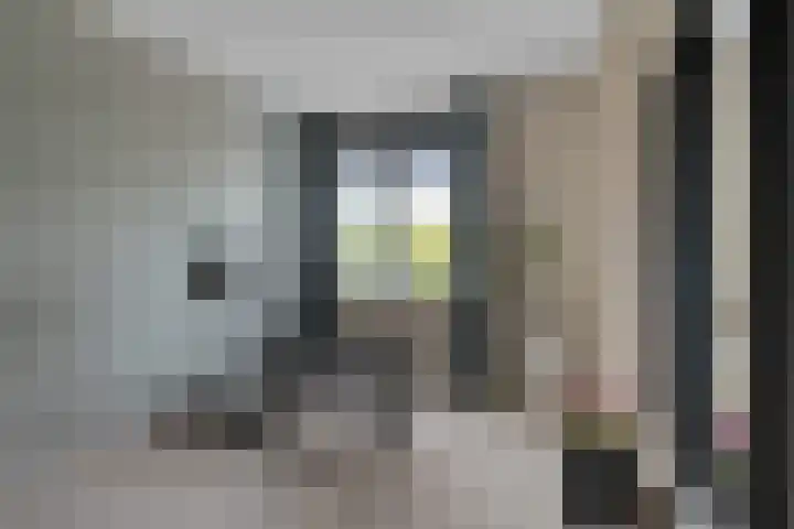 Titelroas 42 a Boornbergum thumbnail 31