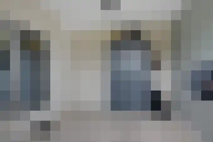 Titelroas 42 a Boornbergum thumbnail 32