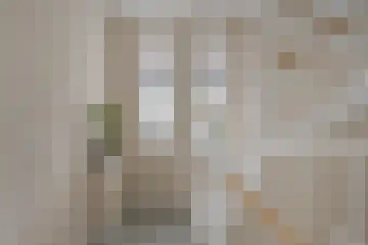Titelroas 42 a Boornbergum thumbnail 33