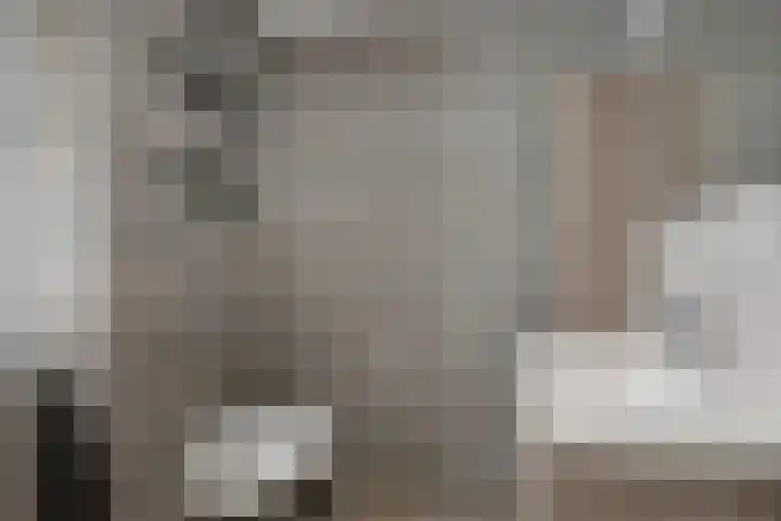 Titelroas 42 a Boornbergum thumbnail 34