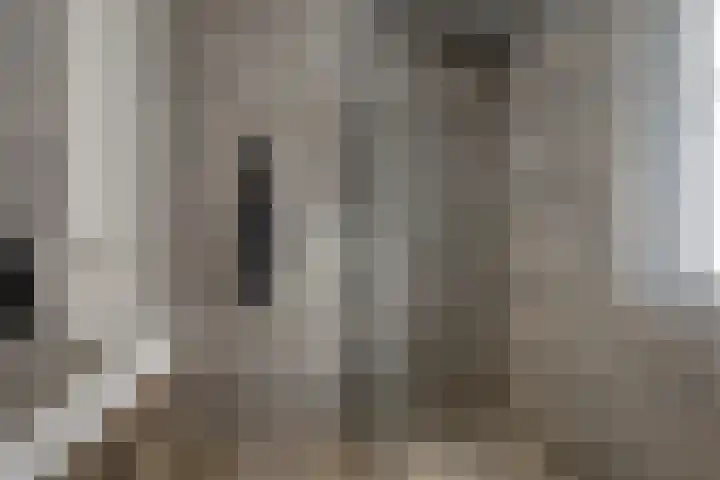 Titelroas 42 a Boornbergum thumbnail 35