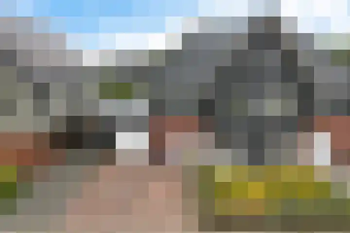 Titelroas 42 a Boornbergum thumbnail 4