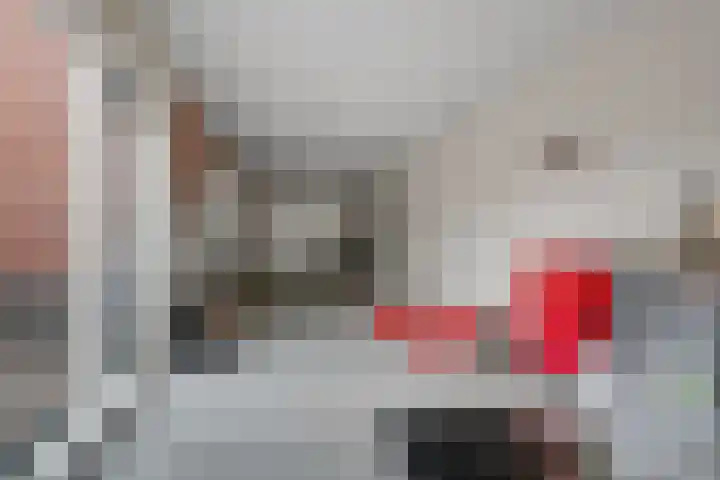 Titelroas 42 a Boornbergum thumbnail 40
