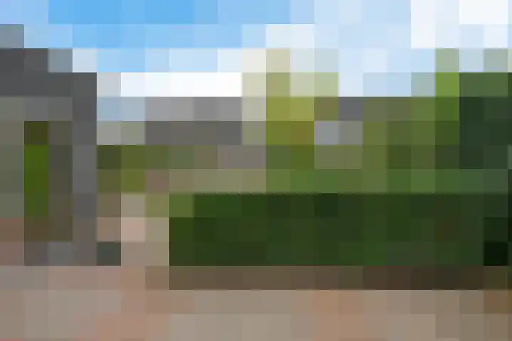 Titelroas 42 a Boornbergum thumbnail 41