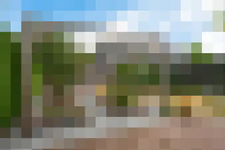 Titelroas 42 a Boornbergum thumbnail 43