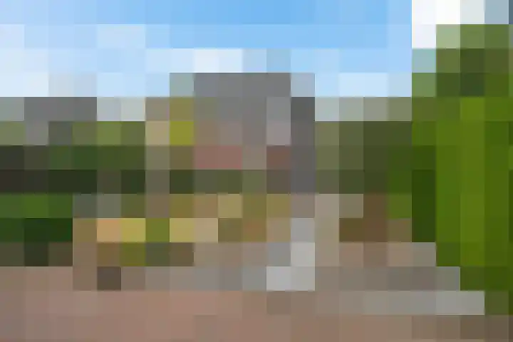 Titelroas 42 a Boornbergum thumbnail 44