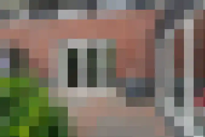 Titelroas 42 a Boornbergum thumbnail 46