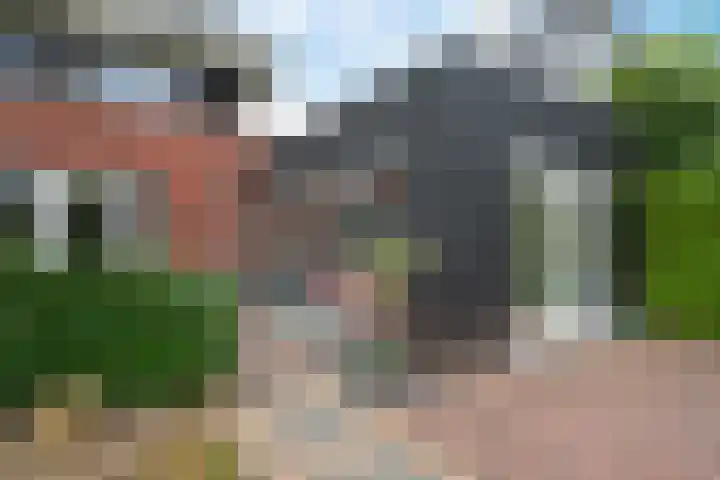 Titelroas 42 a Boornbergum thumbnail 47