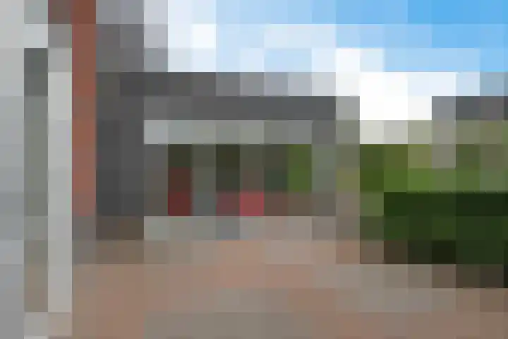 Titelroas 42 a Boornbergum thumbnail 48