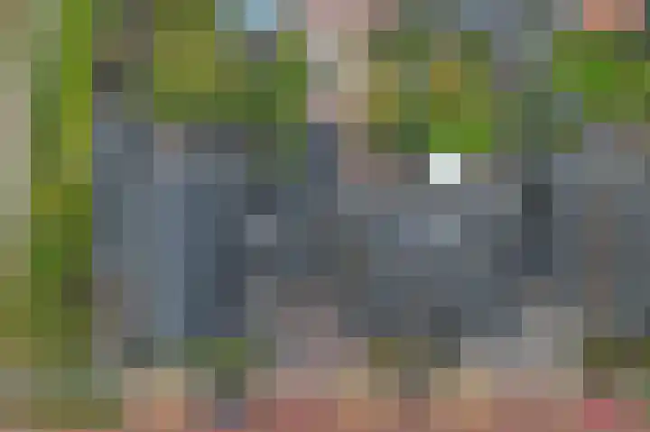 Titelroas 42 a Boornbergum thumbnail 5