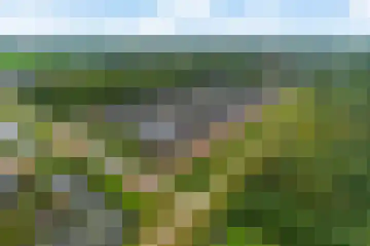 Titelroas 42 a Boornbergum thumbnail 7