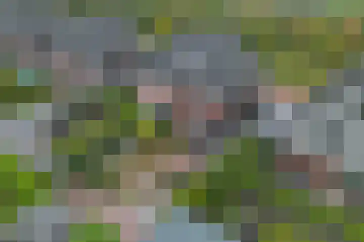 Titelroas 42 a Boornbergum thumbnail 8