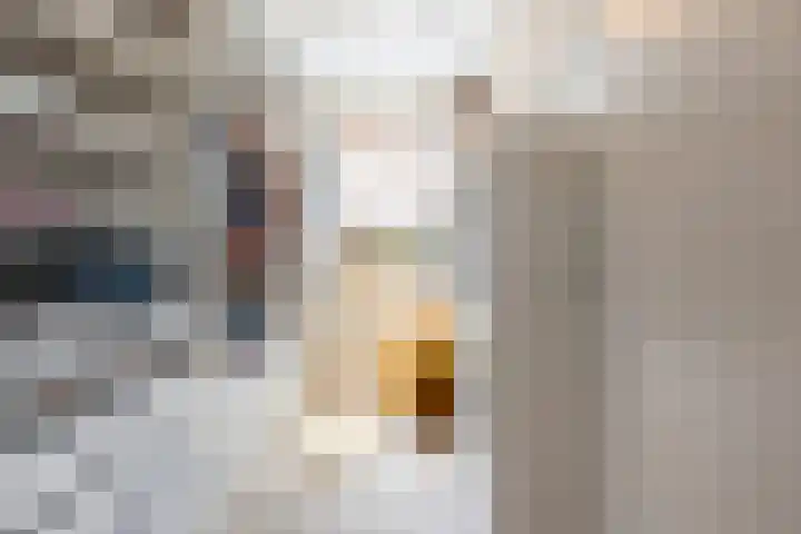 Titia Goedhuisstraat 18 Deventer thumbnail 20