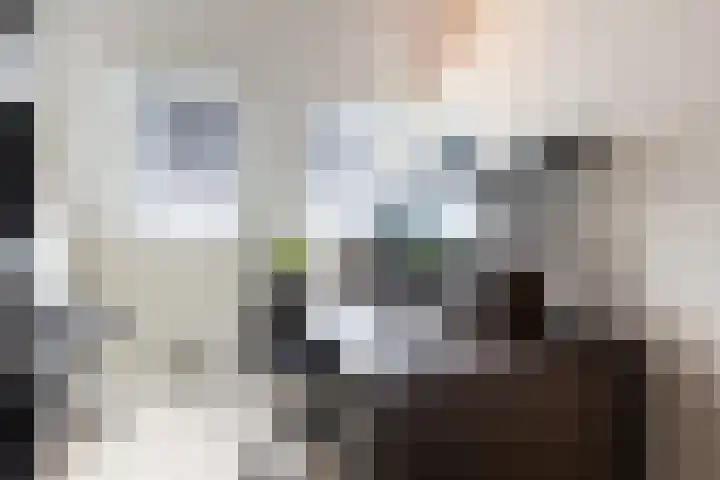 Titia Goedhuisstraat 18 Deventer thumbnail 23