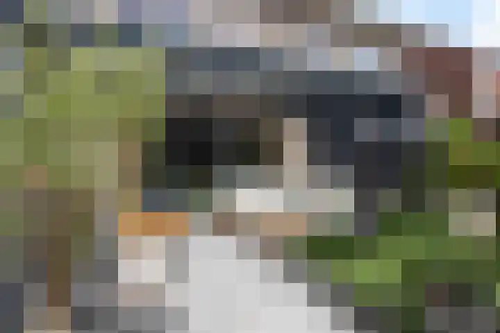 Titia Goedhuisstraat 18 Deventer thumbnail 27