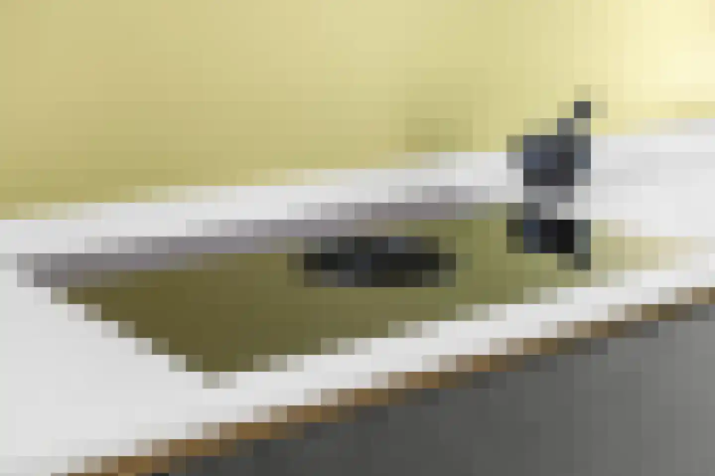 Titia Goedhuisstraat 20 Deventer thumbnail 8