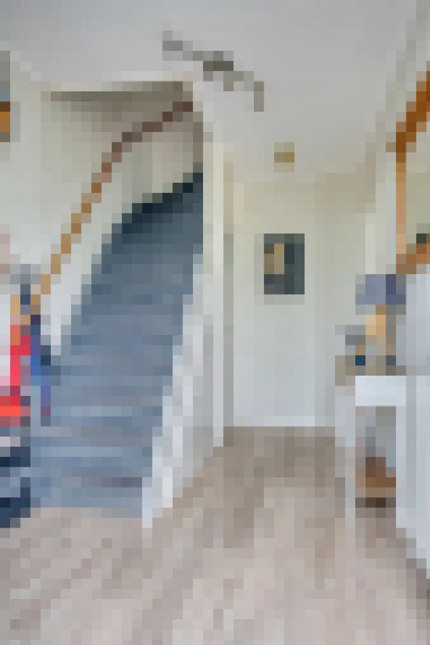Titia Gorterstraat 14 Zwijndrecht thumbnail 8