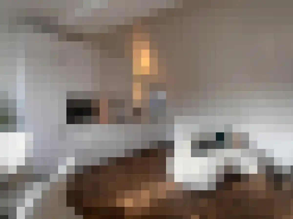 Titiaanstraat 15 Amsterdam thumbnail 4
