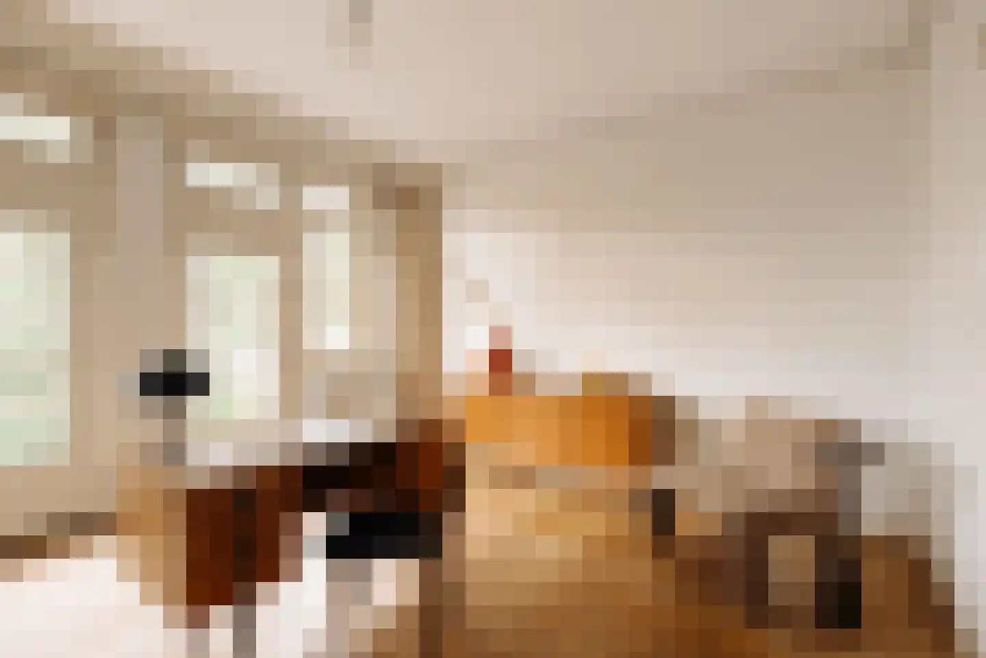 Titiaanstraat 25 2 Amsterdam thumbnail 15