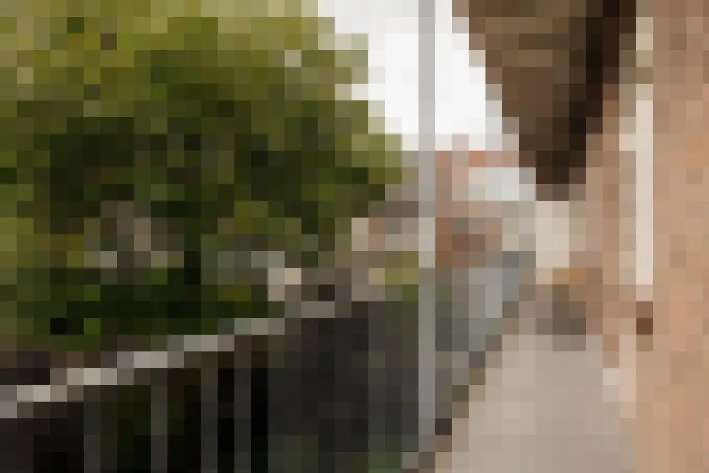 Titiaanstraat 25 2 Amsterdam thumbnail 18