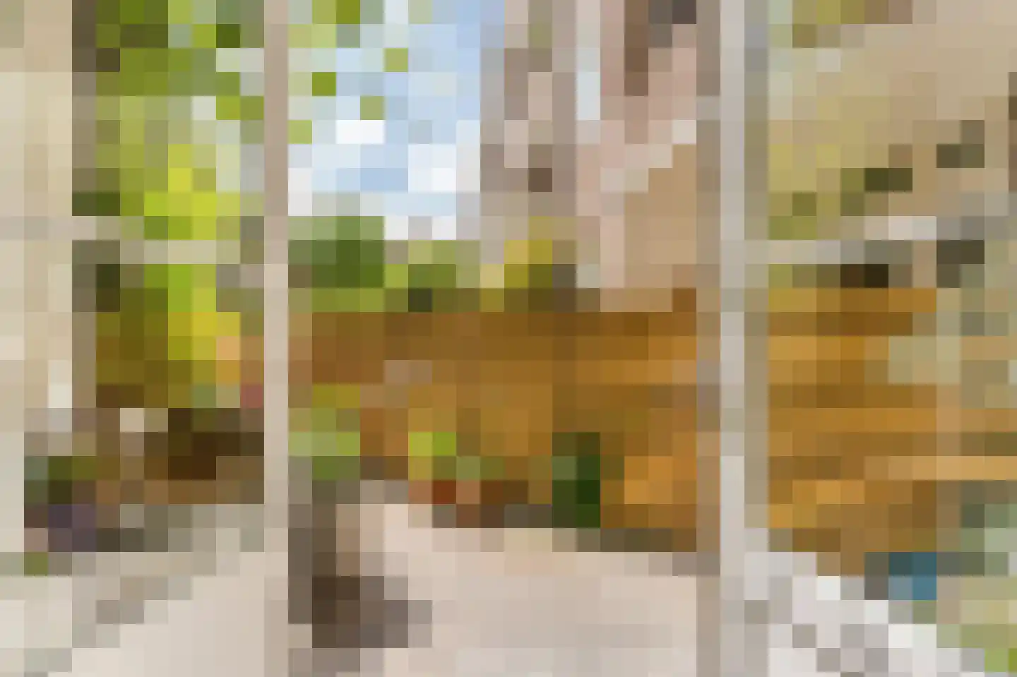 Titiaanstraat 35 2 Amsterdam thumbnail 13