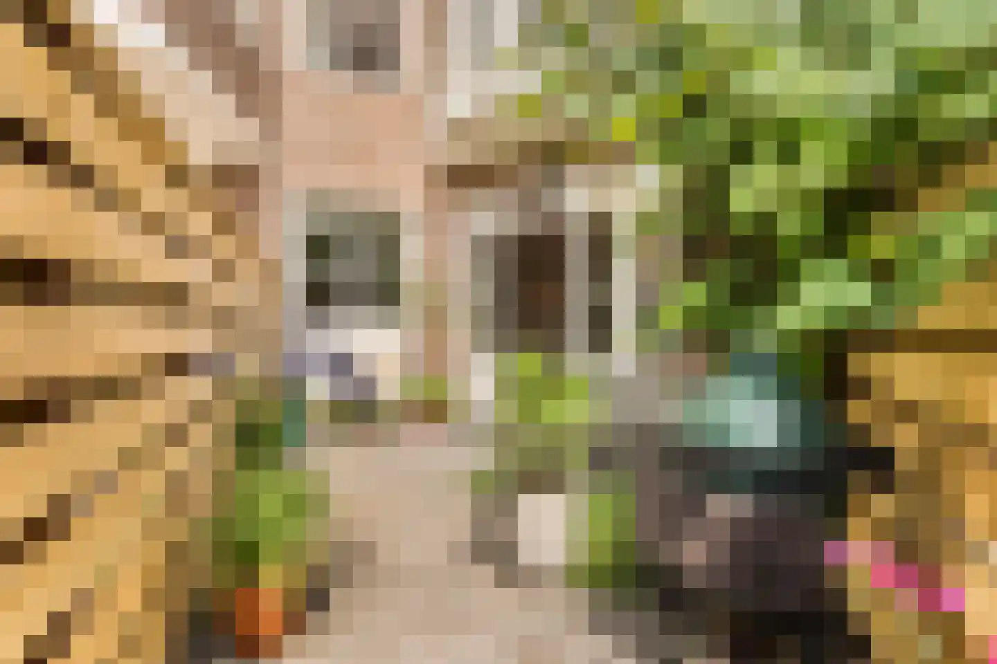 Titiaanstraat 35 2 Amsterdam thumbnail 14