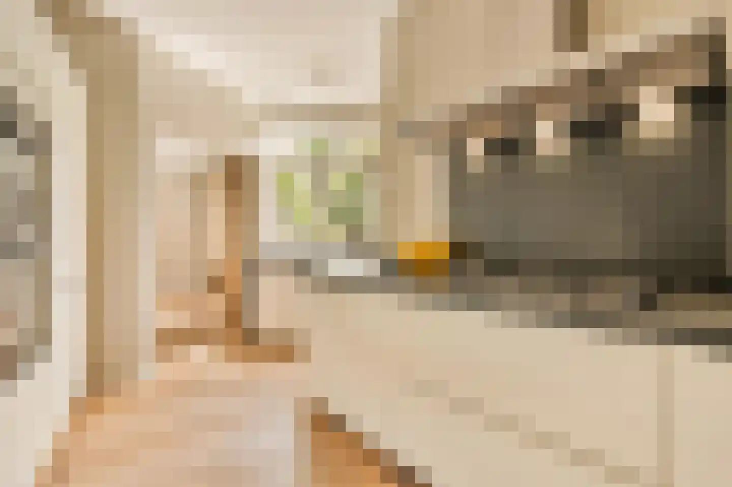 Titiaanstraat 35 2 Amsterdam thumbnail 17