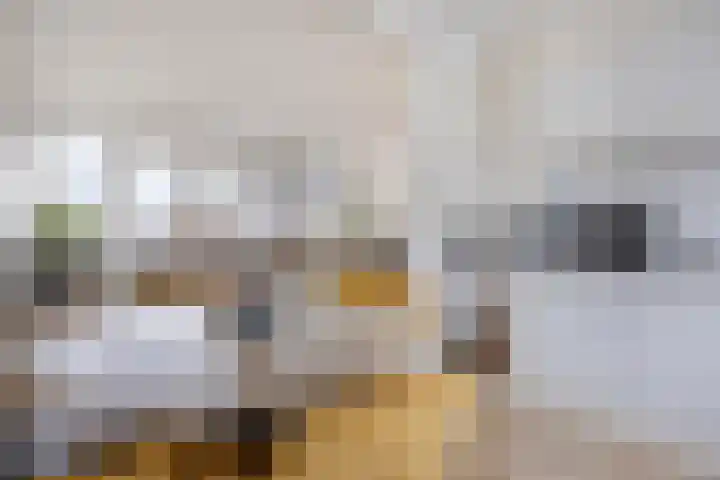 Titus Brandsmahove 32 Zoetermeer thumbnail 10