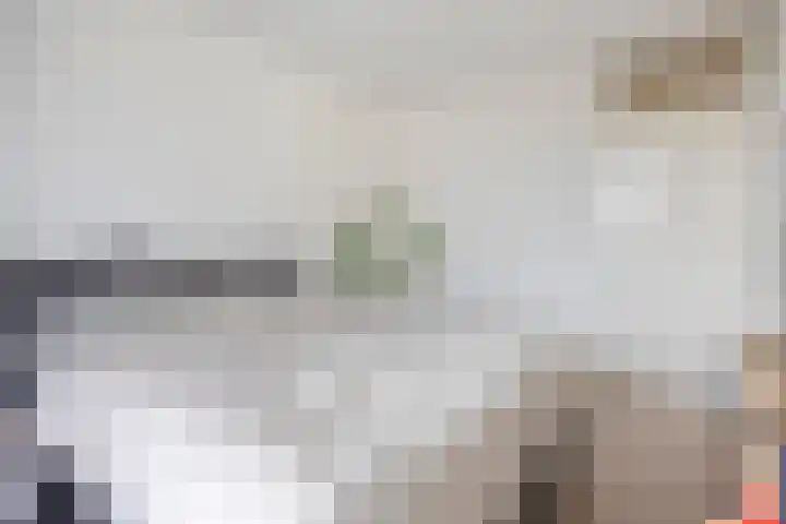 Titus Brandsmahove 32 Zoetermeer thumbnail 17