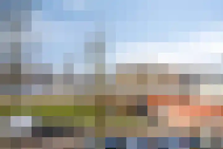 Titus Brandsmahove 32 Zoetermeer thumbnail 22