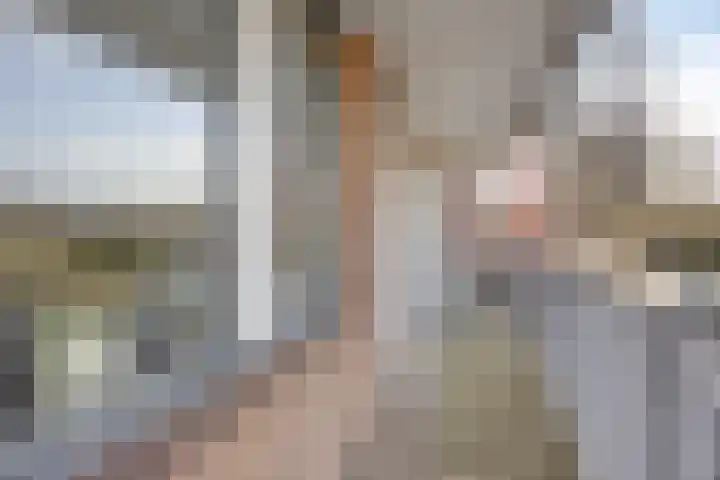 Titus Brandsmahove 32 Zoetermeer thumbnail 4