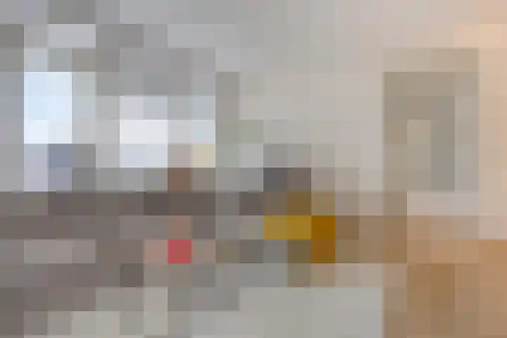 Titus Brandsmahove 32 Zoetermeer thumbnail 5