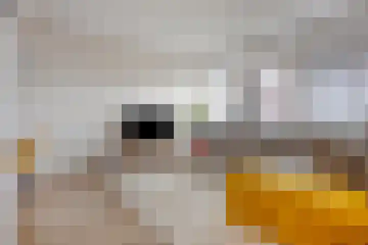 Titus Brandsmahove 32 Zoetermeer thumbnail 6