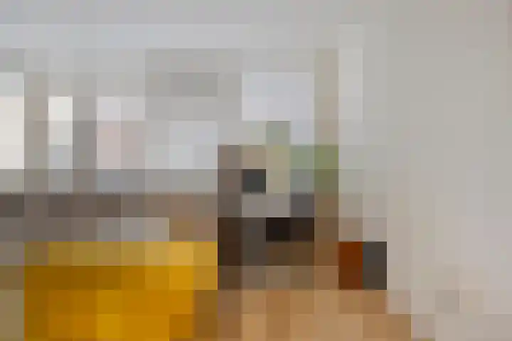 Titus Brandsmahove 32 Zoetermeer thumbnail 7